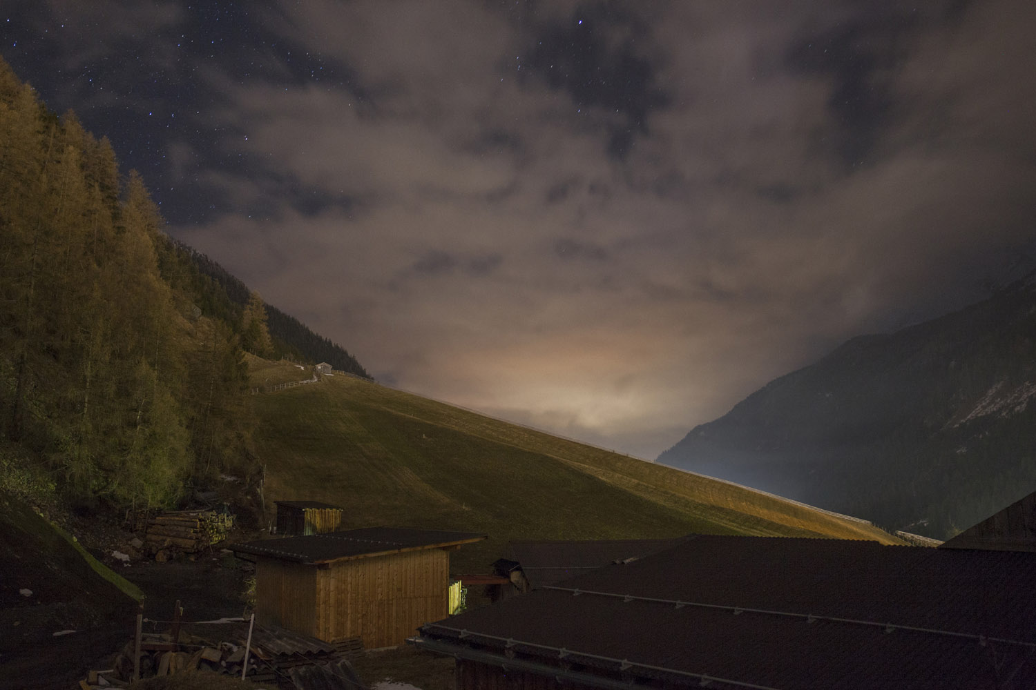 LIVE VIEW