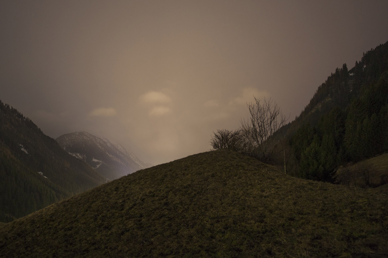 LIVE VIEW